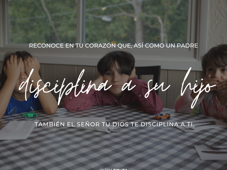 Disciplina con amor