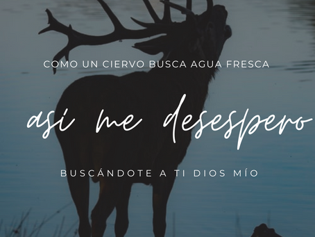 Mi alma tiene sed de Dios
