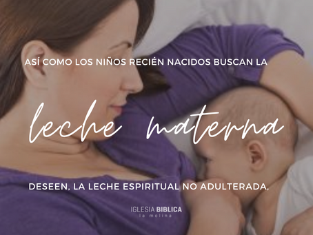 El valor de la leche maternal