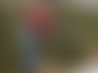 Indignos pero dignos