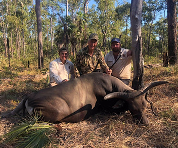 Banteng Hunting Australia
