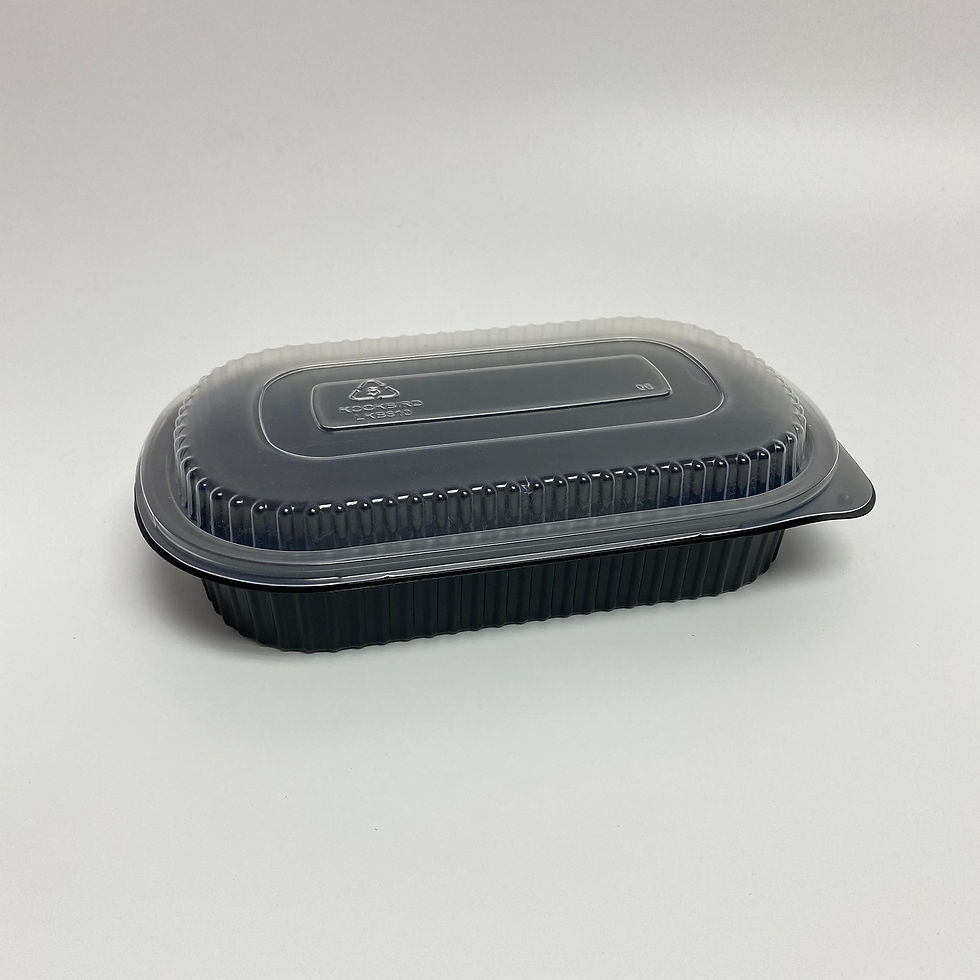 Disposable Lunch Box
