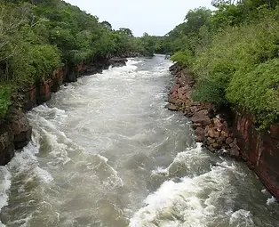 DSCN4274.jpg.webp