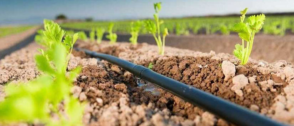 Contact us Background.jpg