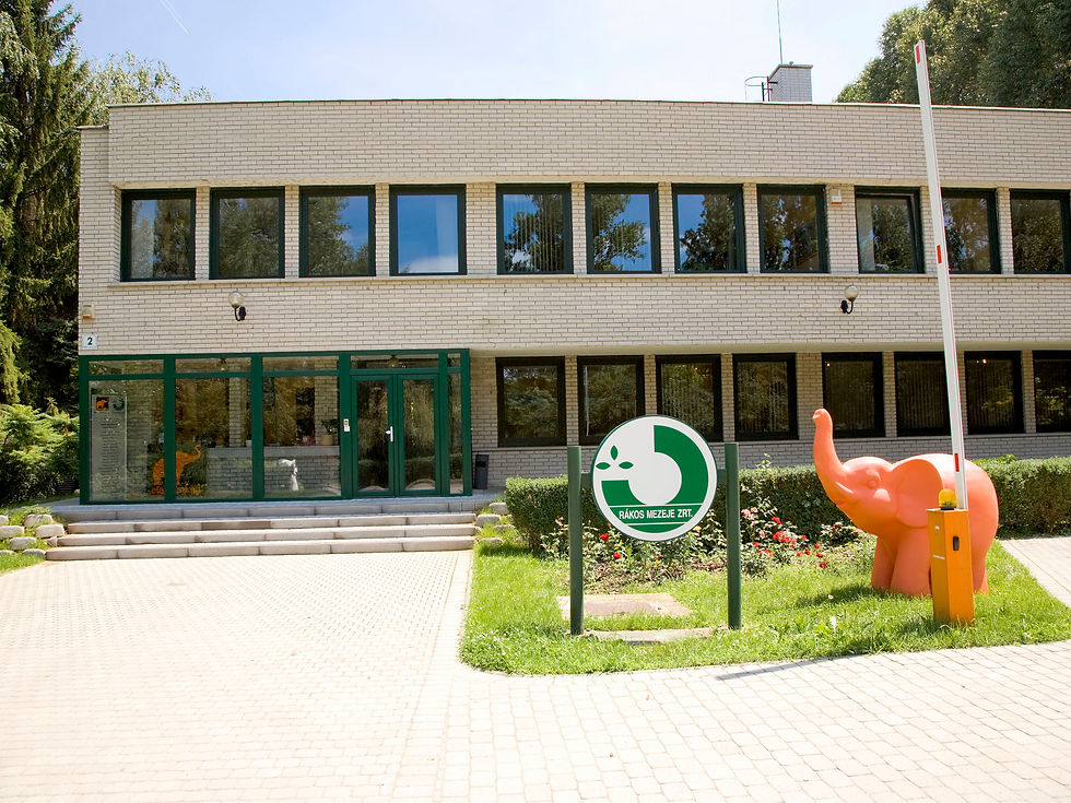 Rakos Mezeje