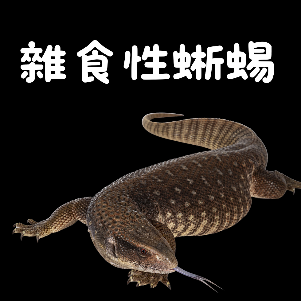 8.png