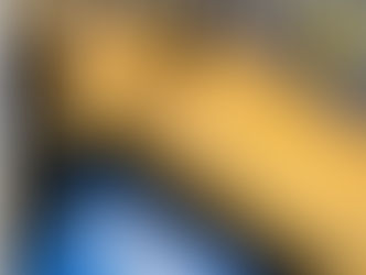 Verksamhetsberättelsen 2024/25