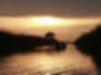 Parc Naturel de l'Albufera