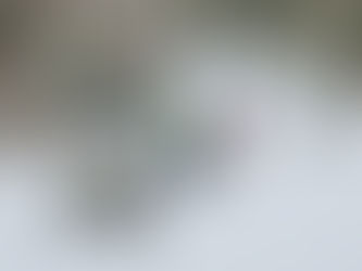 TAUX D’OCCUPATION EN HAUSSE DANS LES ÉTABLISSEMENTS HÔTELIERS DE LA RÉGION D’EDMUNDSTON