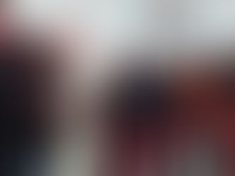 DÔME DE GLACE GÉANT DU CARNAVAL DE QUÉBEC : DÉMARCHES ENTREPRISES POUR FAIRE HOMOGOEUR LE NOUVEAU RECORD