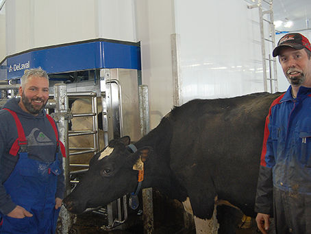 LA FERME OSCAR DAIGLE ET FILS DE BAKER-BROOK POURSUIT SON AUTOMATISATION
