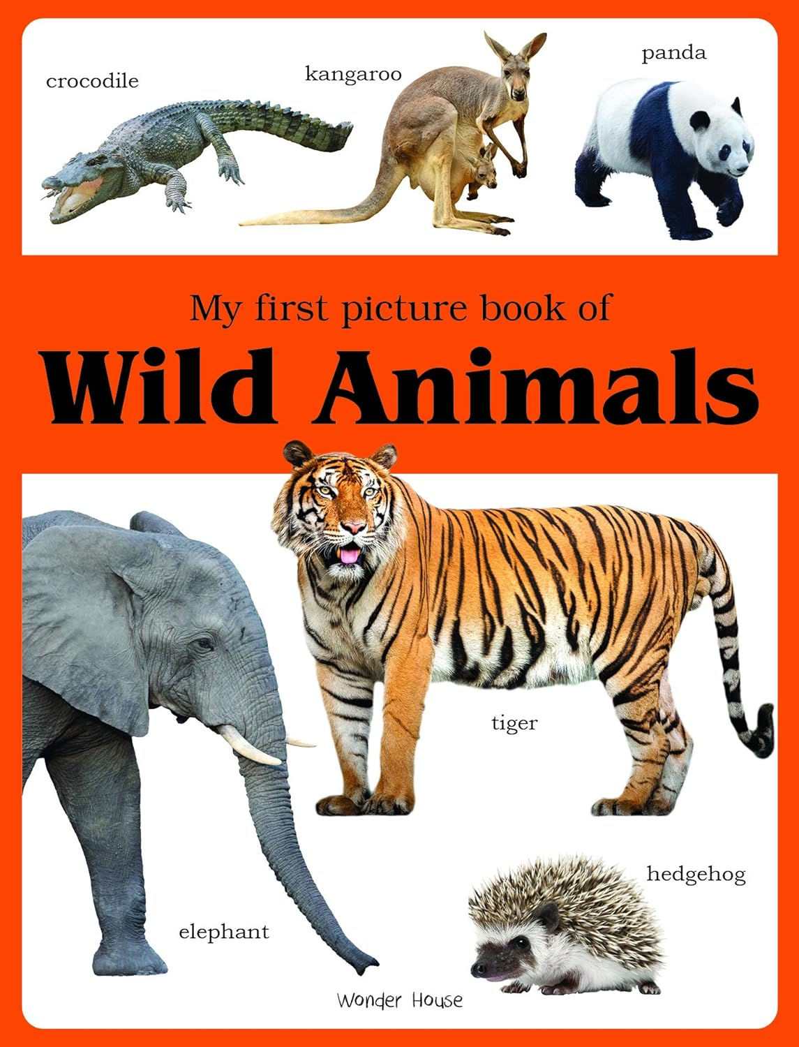 My first picture book of Wild Animals: Picture Books for Children