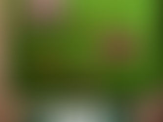 壁貸しします☆Aumu.店舗内でミニショップしませんか?