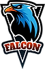 falcon@3x.png