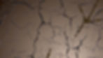 LB BG Photo (compressed).jpg