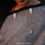 Thumbnail: Bengal cotton