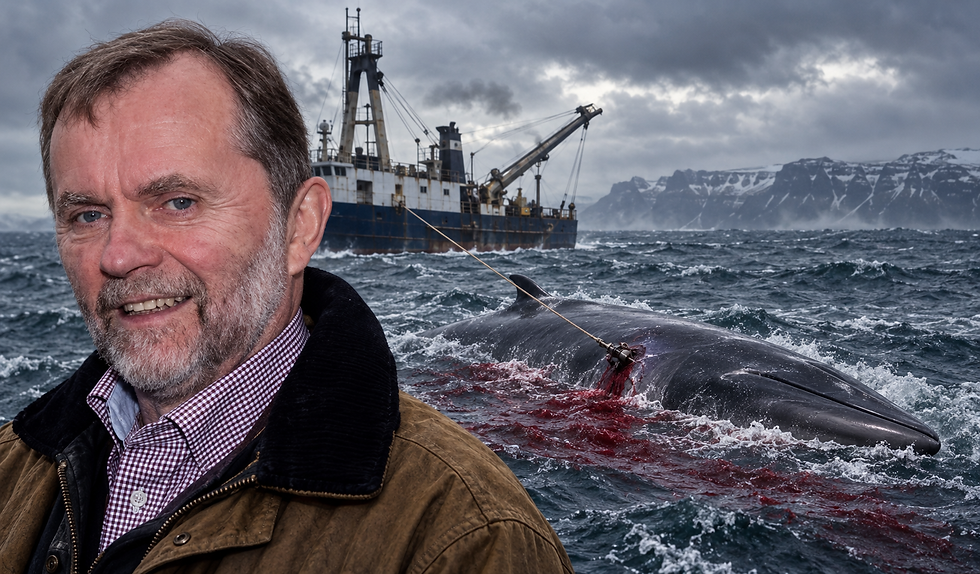 Kristján Loftsson, chief executive and major shareholder of the Icelandic whaling company Hvalur hf.