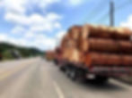 Truck with seike logs on the Tena-Puyo highway in the central Amazon of Ecuador. Photo: Franklin Vega
