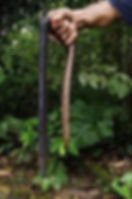 ree
