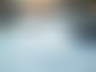 How to Choose the Right Bookkeeper for Your Business: Finding a Reliable Bookkeeper