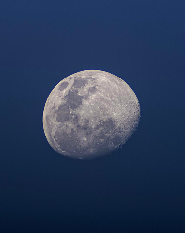 PailletteMoonSatchels