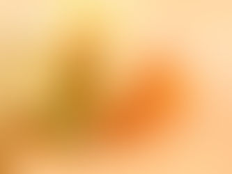 ENDIVES A L’ORANGE