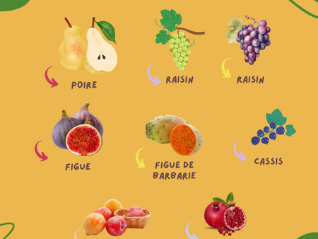 Fruits de Septembre