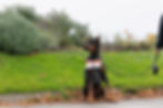 veterans day race_series 02-74