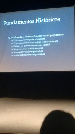 Palestras NeuroVisão CROOSP