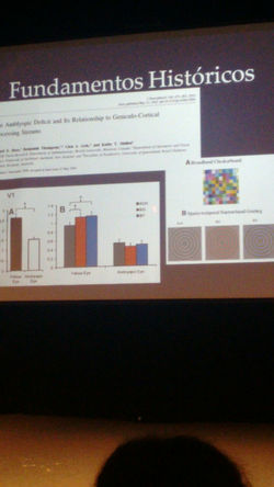Palestras NeuroVisão CROOSP