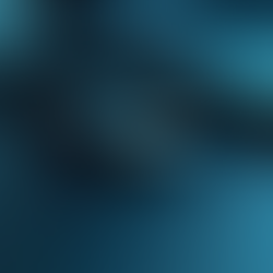 Top Data Transfer Solutions for Every Need