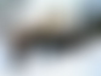 Kreszczenije Hospodnie