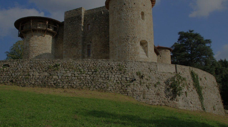 WhatsApp Image 2023-02-11 at 16.52.08.jpeg