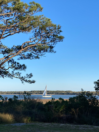 Port Royal Sailboat