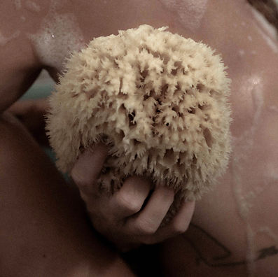 Sea Sponge No2.jpeg