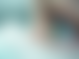 Valores e Benefícios das Lentes Dentais: Tudo o que Você Precisa Saber