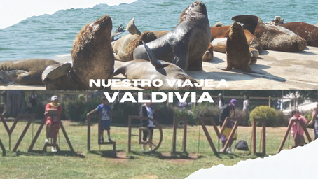 LOS ALREDEDORES DE VALDIVIA