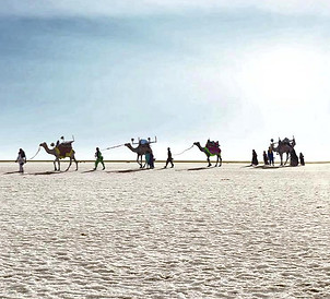 White-Rann-of-Kutch-Feature-971163816_ed