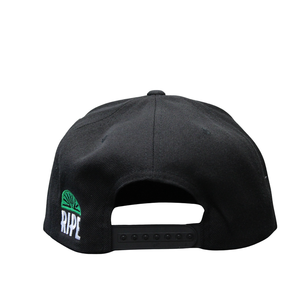 Thumbnail: Black Juice Snap Back