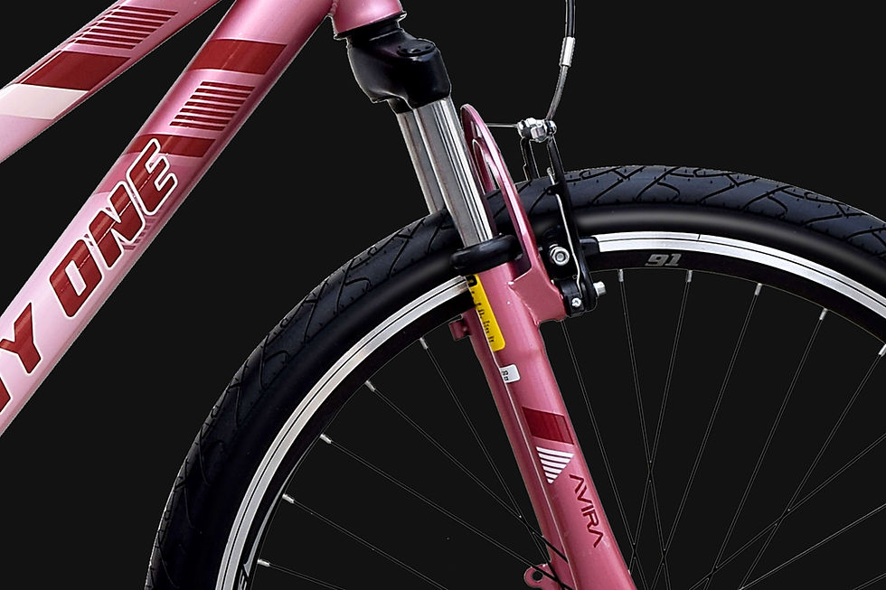 Thumbnail: Ninety One Avira 26T