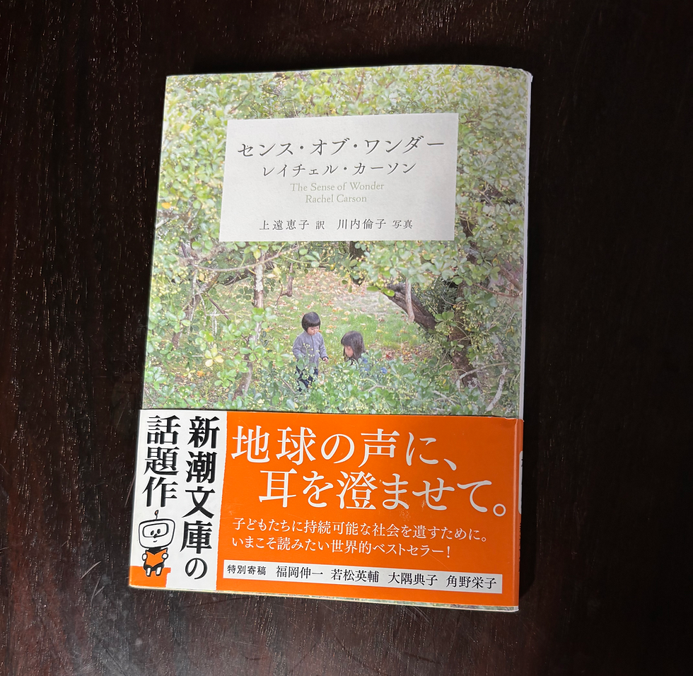 センス・オブ・ワンダー 霜止出苗