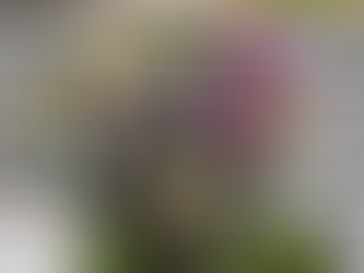 今日が記念日のあなたに