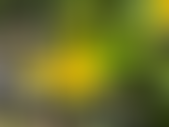 お別れと出会の季節に花言葉を添えて