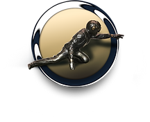 Honorary Tailhooker of the Year Logo