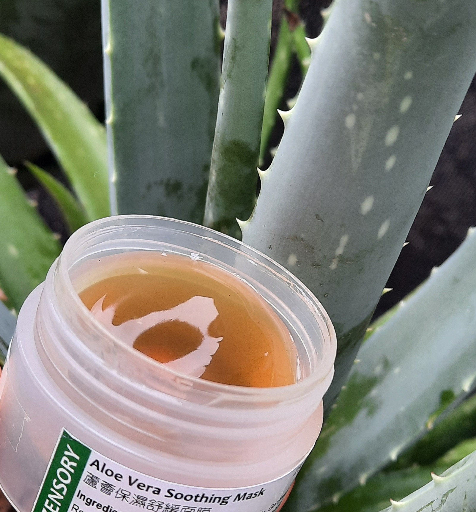 Aloe Vera Soothing Mask 蘆薈保濕