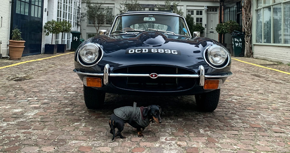 Thumbnail: E Type 1969 Series 2 Winner Best Jaguar Sports Car Hampton Court Concours 2019