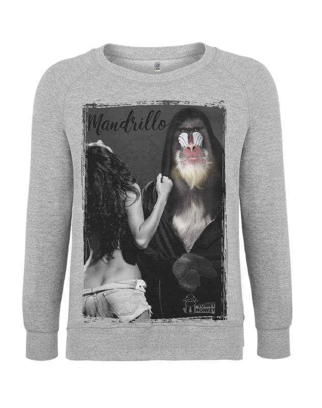 Miniatura: Mandrillo