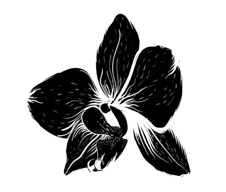 blackorchid.gif