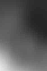 mesh lingerie bodysuit teddy / boudoir sitting pose on floor in front of bed knoxville boudoir photo session / knoxville boudoir photography / photo by knoxville boudoir photographer rosewood boudoir / see more at rosewoodboudoir.com