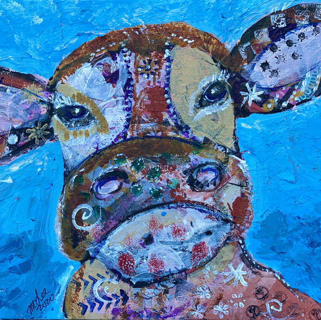 Curious Calf